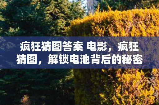 疯狂猜图答案 电影，疯狂猜图，解锁电池背后的秘密