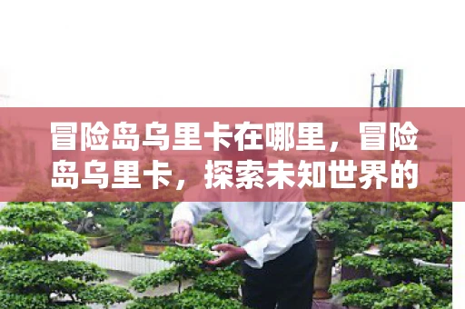 冒险岛乌里卡在哪里，冒险岛乌里卡，探索未知世界的神秘之旅