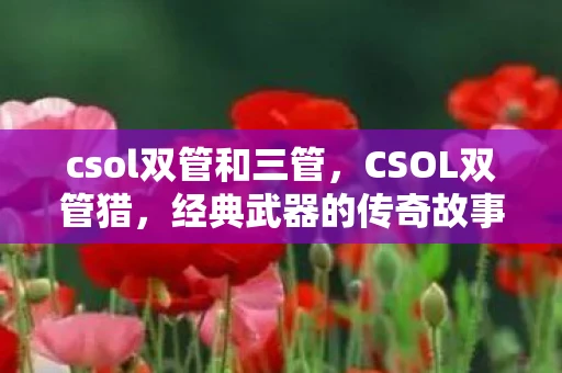 csol双管和三管,CSOL双管猎,经典武器的传奇故事 csol双管和三管,CSOL双管猎,经典武器的传奇故事
