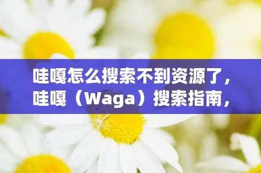 哇嘎怎么搜索不到资源了，哇嘎（Waga）搜索指南，探索学术与创意的宝藏