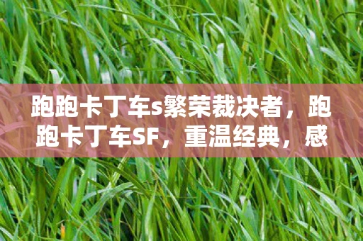 跑跑卡丁车s繁荣裁决者，跑跑卡丁车SF，重温经典，感受速度与激情