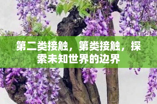 第二类接触,第类接触,探索未知世界的边界 第二类接触,第类接触,探索未知世界的边界