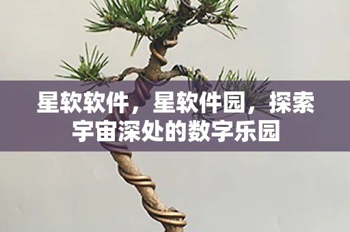 星软软件,星软件园,探索宇宙深处的数字乐园 星软软件,星软件园,探索宇宙深处的数字乐园