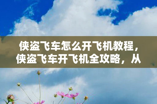 侠盗飞车怎么开飞机教程，侠盗飞车开飞机全攻略，从菜鸟到飞行高手的飞跃