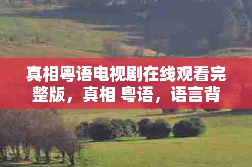 真相粤语电视剧在线观看完整版，真相 粤语，语言背后的文化密码