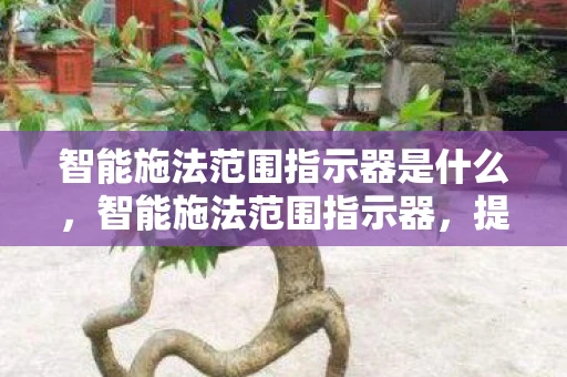 智能施法范围指示器是什么，智能施法范围指示器，提升游戏技能的关键工具