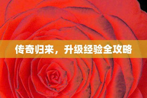 升级经验全攻略图片