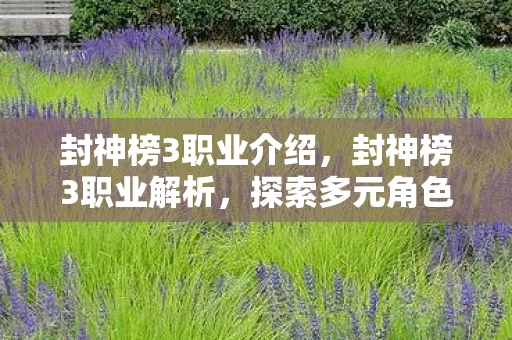 封神榜3职业介绍，封神榜3职业解析，探索多元角色，打造专属传奇