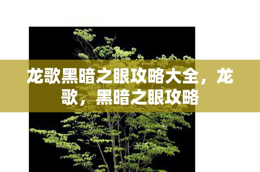 龙歌黑暗之眼攻略大全,龙歌,黑暗之眼攻略 龙歌黑暗之眼攻略大全,龙歌,黑暗之眼攻略