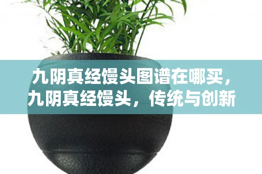 九阴真经馒头图谱在哪买,九阴真经馒头,传统与创新的融合 九阴真经馒头图谱在哪买,九阴真经馒头,传统与创新的融合
