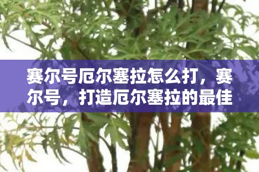 赛尔号厄尔塞拉怎么打,赛尔号,打造厄尔塞拉的最佳配置 赛尔号厄尔塞拉怎么打,赛尔号,打造厄尔塞拉的最佳配置