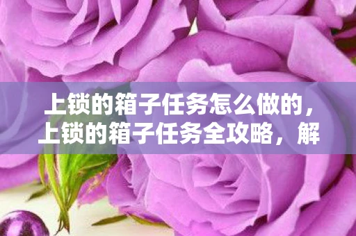 上锁的箱子任务怎么做的，上锁的箱子任务全攻略，解锁未知宝藏的秘诀