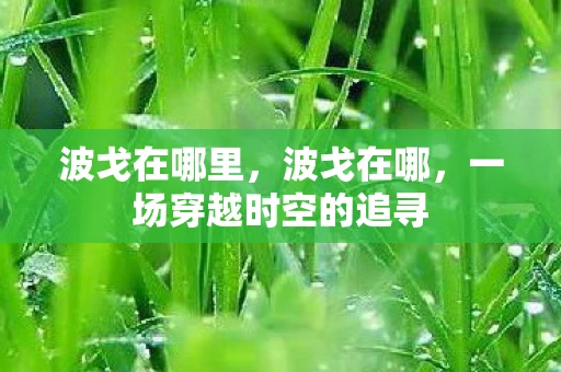 波戈在哪里，波戈在哪，一场穿越时空的追寻