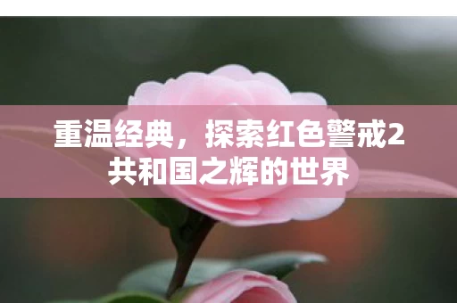 探索红色警戒2共和国之辉的世界图片