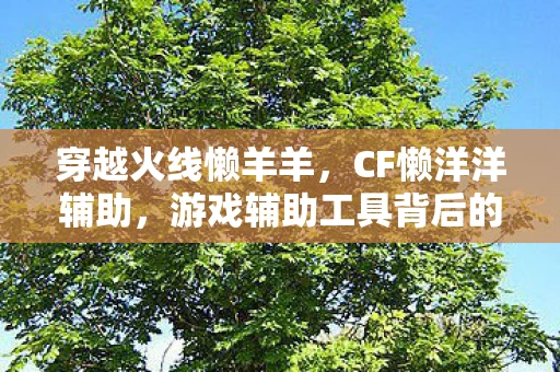 穿越火线懒羊羊，CF懒洋洋辅助，游戏辅助工具背后的故事与反思