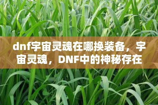 dnf宇宙灵魂在哪换装备，宇宙灵魂，DNF中的神秘存在