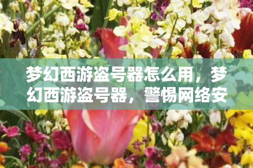 梦幻西游盗号器怎么用，梦幻西游盗号器，警惕网络安全的隐形威胁