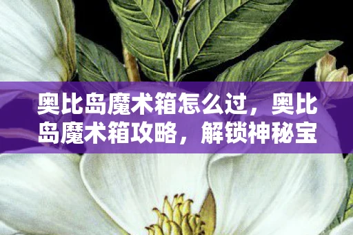 奥比岛魔术箱怎么过，奥比岛魔术箱攻略，解锁神秘宝藏的秘诀