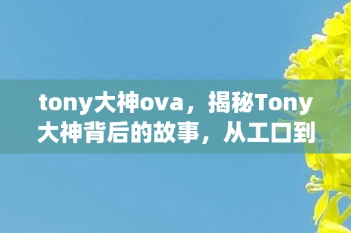 tony大神ova,揭秘Tony大神背后的故事,从工口到网络红人的传奇之路 tony大神ova,揭秘Tony大神背后的故事,从工口到网络红人的传奇之路