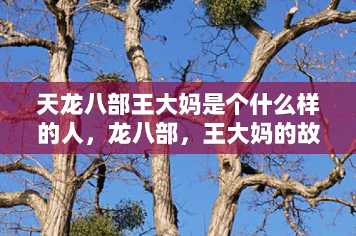 天龙八部王大妈是个什么样的人，龙八部，王大妈的故事