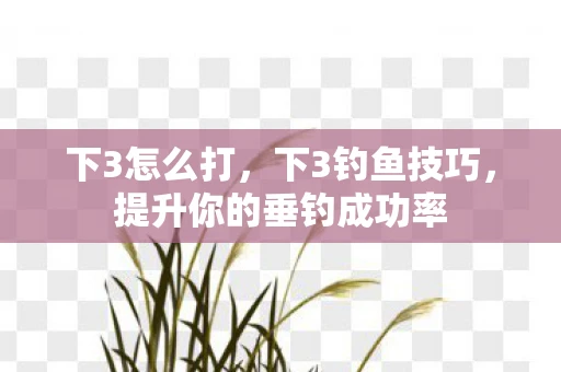 下3怎么打,下3钓鱼技巧,提升你的垂钓成功率 下3怎么打,下3钓鱼技巧,提升你的垂钓成功率