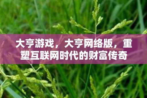 大亨游戏,大亨网络版,重塑互联网时代的财富传奇 大亨游戏,大亨网络版,重塑互联网时代的财富传奇