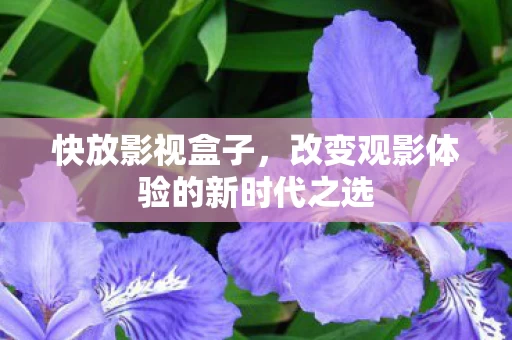 改变观影体验的新时代之选图片