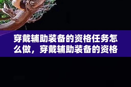 穿戴辅助装备的资格任务怎么做，穿戴辅助装备的资格，解锁潜能，还是侵犯自由？