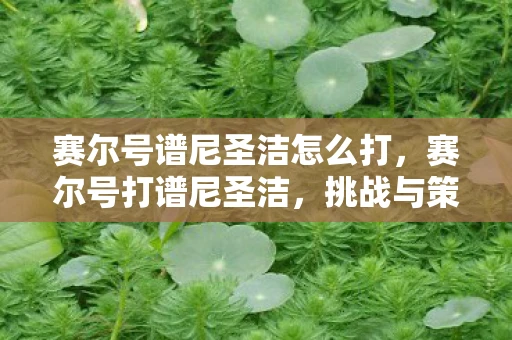 赛尔号谱尼圣洁怎么打,赛尔号打谱尼圣洁,挑战与策略 赛尔号谱尼圣洁怎么打,赛尔号打谱尼圣洁,挑战与策略