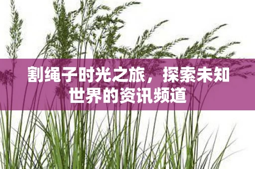 探索未知世界的资讯频道图片