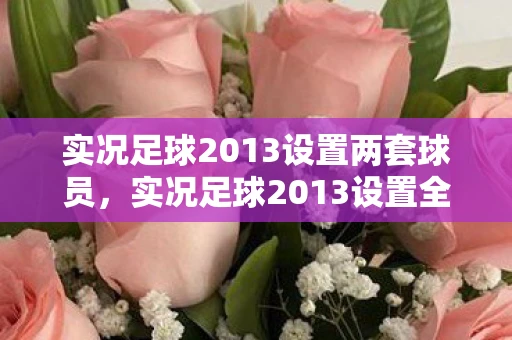 实况足球2013设置两套球员，实况足球2013设置全解析，打造你的专属绿茵战场