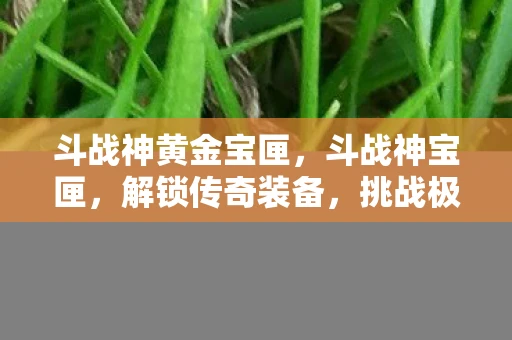 斗战神黄金宝匣,斗战神宝匣,解锁传奇装备,挑战极限战力 斗战神黄金宝匣,斗战神宝匣,解锁传奇装备,挑战极限战力