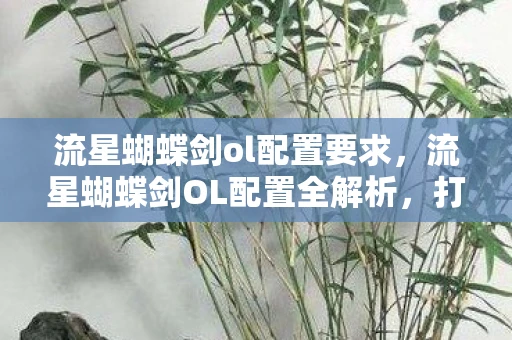 流星蝴蝶剑ol配置要求,流星蝴蝶剑OL配置全解析,打造流畅游戏体验 流星蝴蝶剑ol配置要求,流星蝴蝶剑OL配置全解析,打造流畅游戏体验