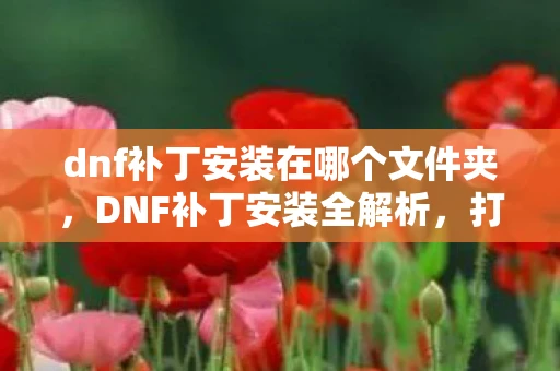 dnf补丁安装在哪个文件夹，DNF补丁安装全解析，打造个性化游戏世界的必备指南