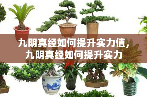 九阴真经如何提升实力值,九阴真经如何提升实力 九阴真经如何提升实力值,九阴真经如何提升实力