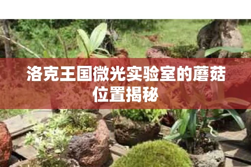 洛克王国微光实验室的蘑菇位置揭秘图片