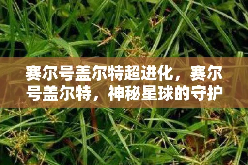 赛尔号盖尔特超进化,赛尔号盖尔特,神秘星球的守护者 赛尔号盖尔特超进化,赛尔号盖尔特,神秘星球的守护者