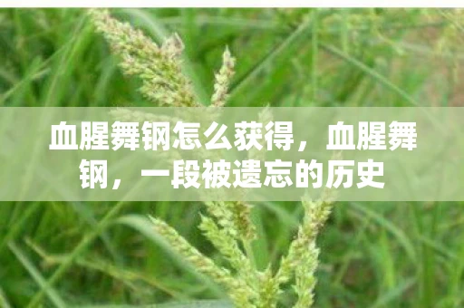 血腥舞钢怎么获得，血腥舞钢，一段被遗忘的历史