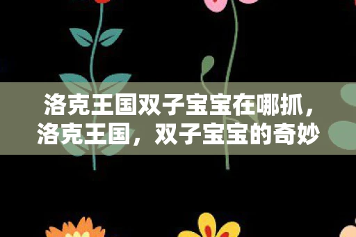 洛克王国双子宝宝在哪抓,洛克王国,双子宝宝的奇妙冒险 洛克王国双子宝宝在哪抓,洛克王国,双子宝宝的奇妙冒险