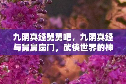 九阴真经舅舅吧，九阴真经与舅舅扇门，武侠世界的神秘交织