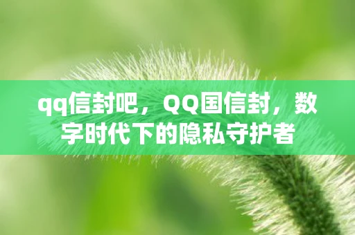 qq信封吧，QQ国信封，数字时代下的隐私守护者