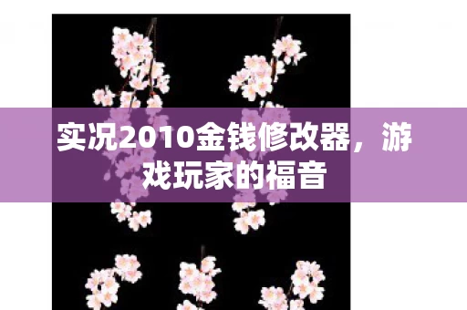 实况2010金钱修改器图片