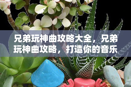 兄弟玩神曲攻略大全，兄弟玩神曲攻略，打造你的音乐王国