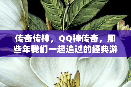 传奇传神，QQ神传奇，那些年我们一起追过的经典游戏