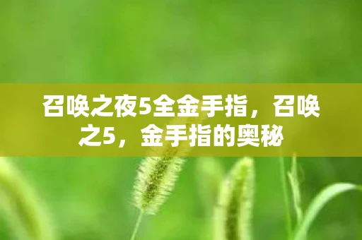 召唤之夜5全金手指,召唤之5,金手指的奥秘 召唤之夜5全金手指,召唤之5,金手指的奥秘