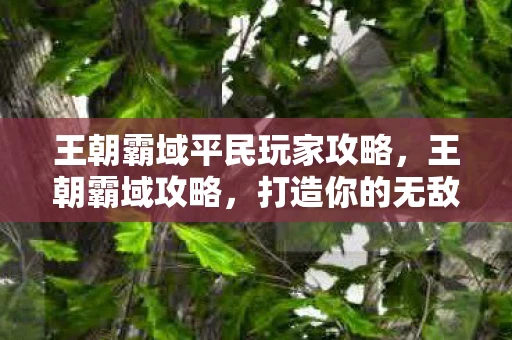 王朝霸域平民玩家攻略,王朝霸域攻略,打造你的无敌帝国 王朝霸域平民玩家攻略,王朝霸域攻略,打造你的无敌帝国
