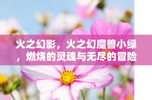 火之幻影，火之幻魔兽小绿，燃烧的灵魂与无尽的冒险