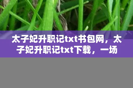 太子妃升职记txt书包网,太子妃升职记txt下载,一场跨越时空的宫廷奇缘 太子妃升职记txt书包网,太子妃升职记txt下载,一场跨越时空的宫廷奇缘