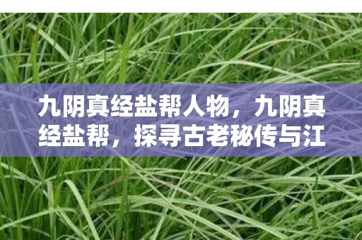 九阴真经盐帮人物,九阴真经盐帮,探寻古老秘传与江湖传奇 九阴真经盐帮人物,九阴真经盐帮,探寻古老秘传与江湖传奇