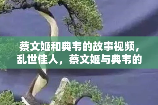 蔡文姬和典韦的故事视频,乱世佳人,蔡文姬与典韦的传奇故事 蔡文姬和典韦的故事视频,乱世佳人,蔡文姬与典韦的传奇故事